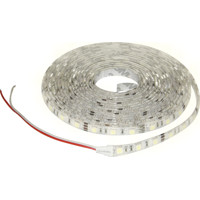 LED STRIP 2835 IP65 CW 5m