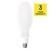 LED žiarovka Filament ED90 / E27 / 36 W (327 W) / 6 000 lm / neutrálna biela